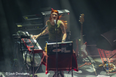 The Dandy Warhols