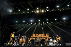 Jungle by Night
