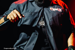 Cypress Hill