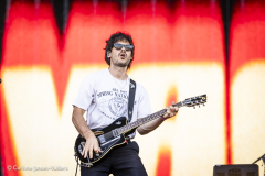 The Vaccines