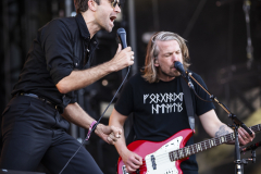 The Vaccines