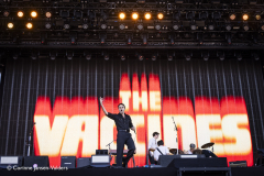 The Vaccines