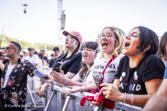 The Vaccines