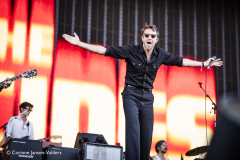 The Vaccines