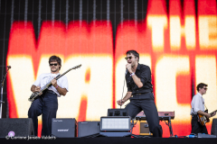 The Vaccines