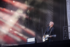Triggerfinger