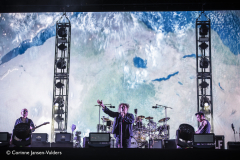 The Cure