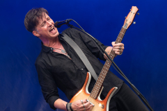Golden Earring by The Clarks