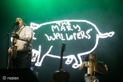 The Mary Wallopers