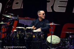Pitbull-15-07-26-Gelredome-Eline-JosephinePhotography-007