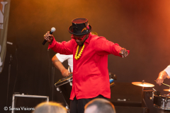 Ensemble National de Reggae
