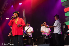 Ensemble National de Reggae