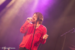 The Doors Undercoversessie