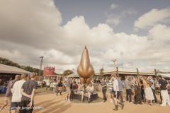 Sfeer Lowlands