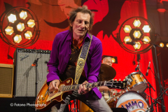 Ronnie Wood & The AlMMO Band