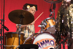 Ronnie Wood & The AlMMO Band