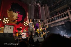 Ronnie Wood & The AlMMO Band