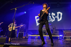Ellis-D