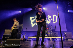Ellis-D