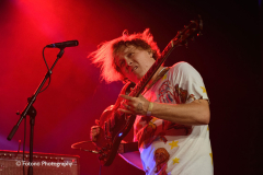 Ty Segall