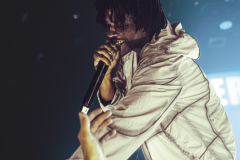 P'ierre Bourne