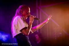 Prins S. en de Geit