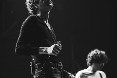 The Kooks