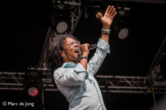 Sven-Hammond-Westerpop-dag-2-09072022-Marc-de-Jong-001-5