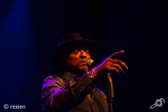 A-Bowie-Celebration-Oosterpoort-26-01-2019-rezien-4