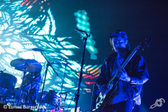 Angus-and-Julia-Stone-AFAS-Live-15102017-Esmee-Burgersdijk-DSC_4609