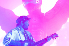 Angus-and-Julia-Stone-AFAS-Live-15102017-Esmee-Burgersdijk-DSC_4613