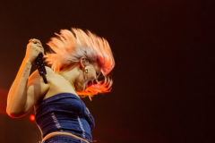 Anne-Marie-Afas-Live-2019-Yael-Bakker_016