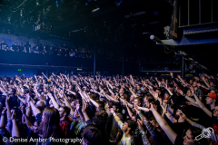 Erra-Melkweg-07122019-Denise-Amber_018