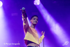 The-Internet-Best-Kept-Secret-Festival-2018-Par-pa-fotografie_004