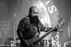 cavalera13