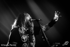 cavalera17