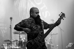 cavalera6