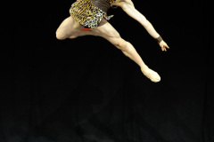 nat-ballet-2014-fotono-033