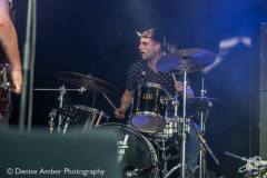 Alligator-dauwpop-26052018-denise-amber_005