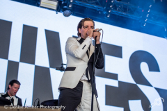 The-hives-dauwpop-26052018-denise-amber_001