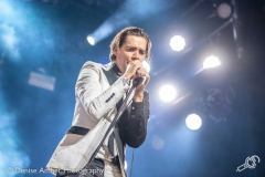 The-hives-dauwpop-26052018-denise-amber_004
