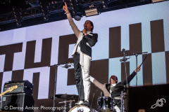 The-hives-dauwpop-26052018-denise-amber_012