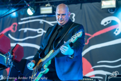 Triggerfinger-dauwpop-26052018-denise-amber_001