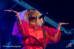 liniker-e-os-caramelows-dtrh-2019-par-pa_004