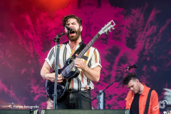 foals-dtrh-2019-par-pa_002