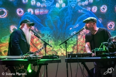 earthlings-2017-melkweg-susanamartins-015