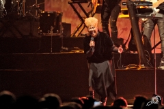 Emeli-SandeAfasLive-2017-Fotono_012