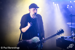 Fink_Paard_041217_PaulB_01