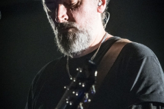 Fink_Paard_041217_PaulB_02