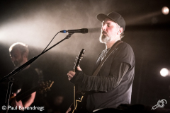 Fink_Paard_041217_PaulB_03